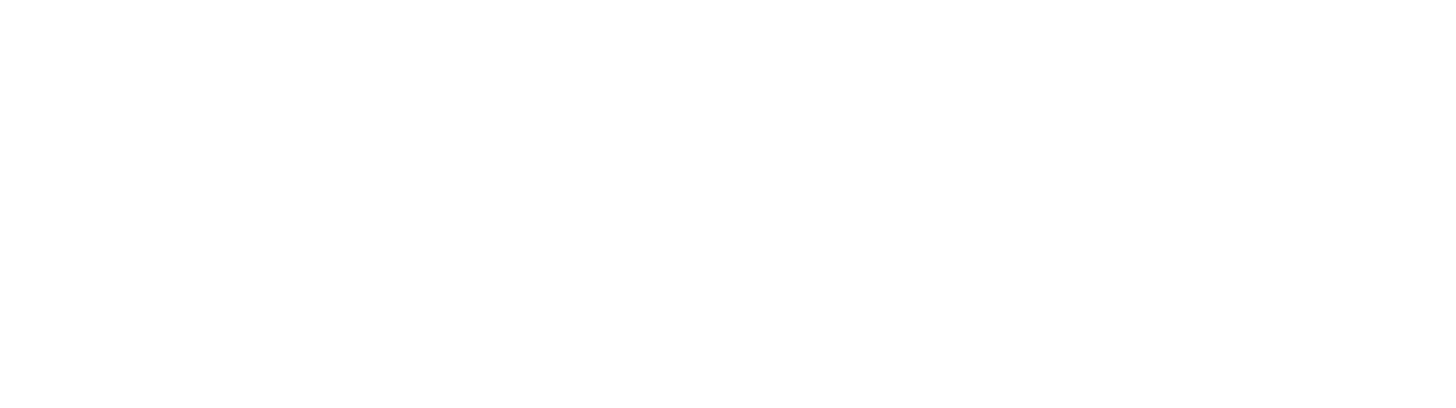 NodkaM Logo